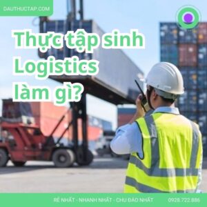 Thực tập sinh logistics làm gì? Tất tần tật công việc & kỹ năng cần có cho sinh viên năm cuối