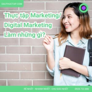Thực tập Marketing/ Digital Marketing làm những gì