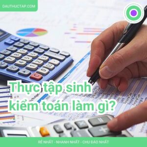 Thực Tập Kiểm Toán Làm Gì? Mô Tả Công Việc Và Cơ Hội Thăng Tiến