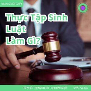 Thực Tập Sinh Luật Làm Gì? Mô Tả Công Việc