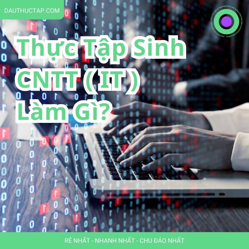 Thực tập ngành IT