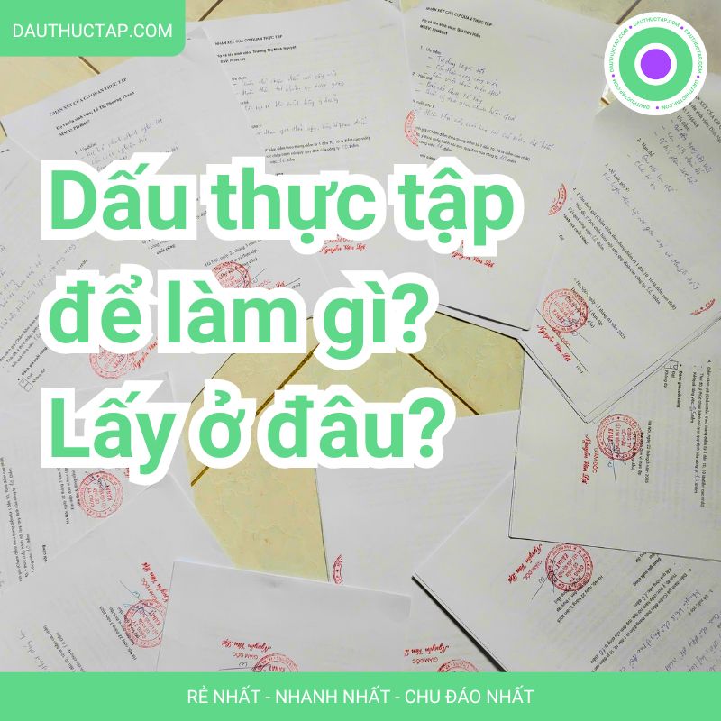 Dấu thực tập là gì