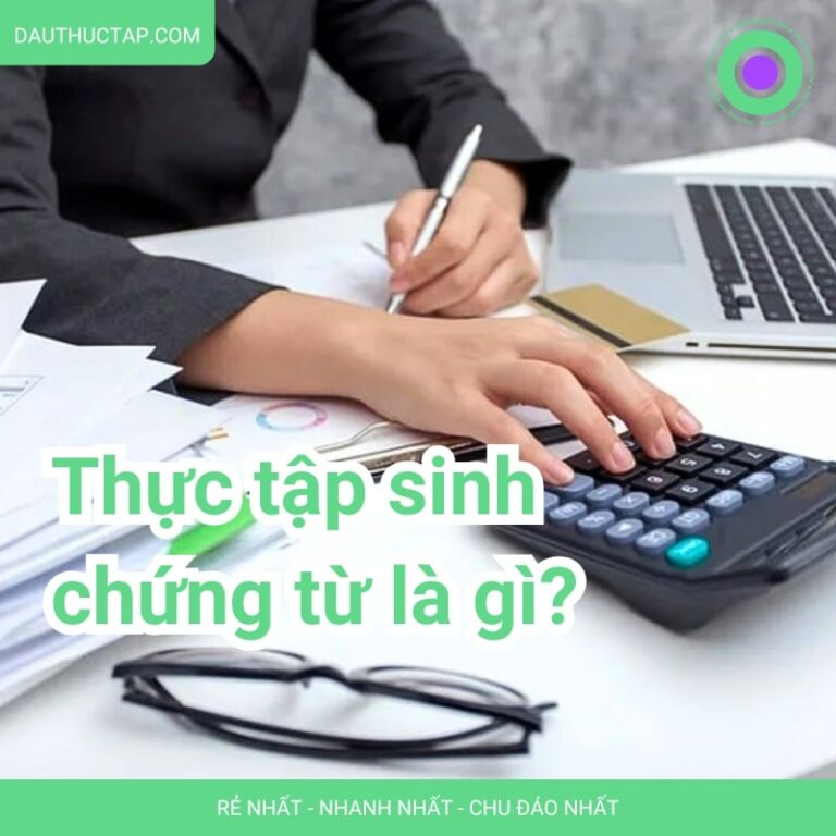 Thực tập sinh chứng từ là gì, làm gì? Tất tần tật từ A-Z