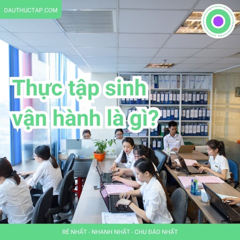 Thực tập sinh vận hành là làm gì? Tìm hiểu từ A đến Z